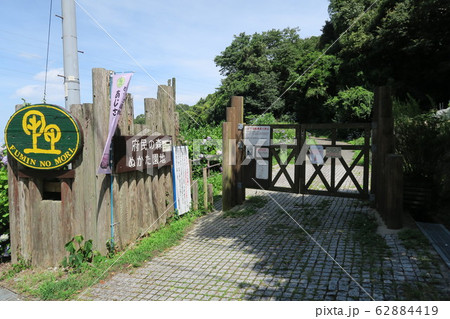 府民の森ぬかた園地 府民の森ぬかた園地 62884419