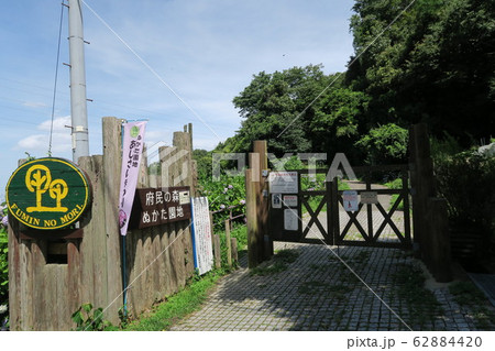 府民の森ぬかた園地 府民の森ぬかた園地 62884420