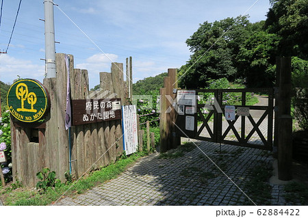 府民の森ぬかた園地 府民の森ぬかた園地 62884422