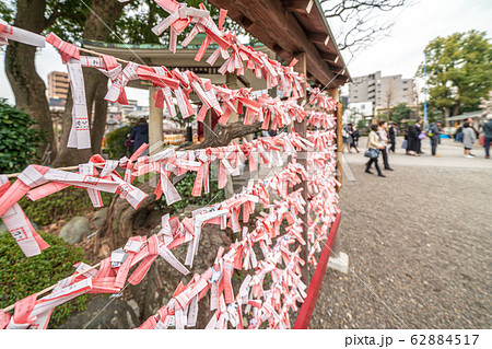 亀戸天神　おみくじ結び所 62884517