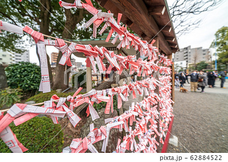 亀戸天神　おみくじ結び所 62884522