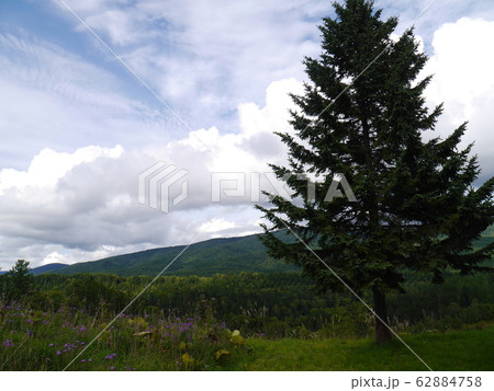 北海道芦別市の美しい自然の景色 62884758