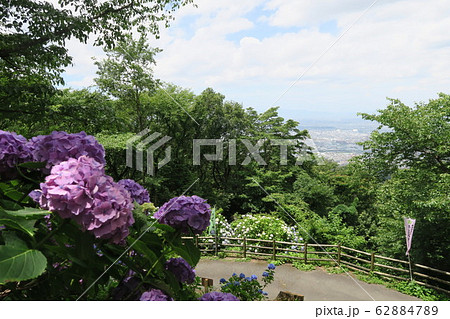 府民の森ぬかた園地~あじさい園~ 府民の森ぬかた園地~あじさい園~ 62884789