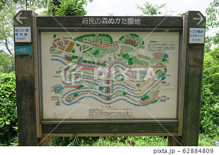 府民の森ぬかた園地~あじさい園~ 府民の森ぬかた園地~あじさい園~ 62884809
