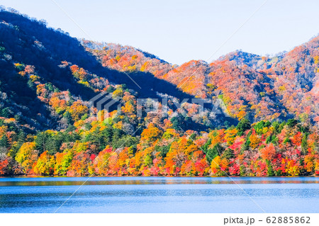 秋の中禅寺湖 （八丁出島の紅葉） 62885862