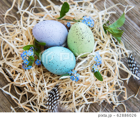 Nest with easter eggs Nest with easter eggs 62886026