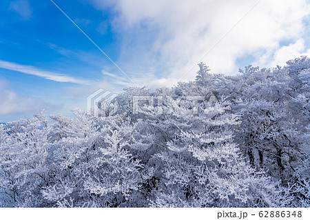 三重県 冬の御在所山頂 樹氷 霧氷 三重県 冬の御在所山頂 樹氷 霧氷 62886348