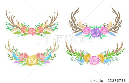 Deer Antlers Arranged with Showy Flower Buds and Tender Feathers Vector Set 62886758