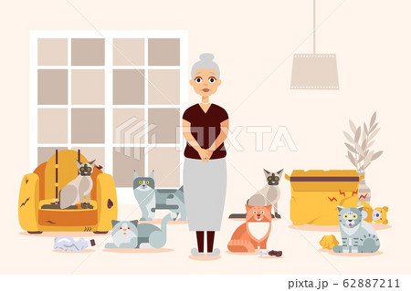 Old woman with cats vector illustration, elderly female cartoon character with crazy kittens as pet animals at home. 62887211