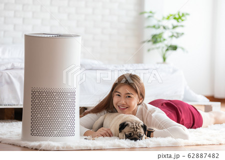 Woman playing with Dog Pug Breed and Air purifier in cozy white bedroom 62887482