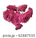 Heart-shaped roses on an isolated background 62887535