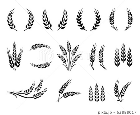 Wheat wreaths and grain spikes set icons Wheat wreaths and grain spikes set icons 62888017