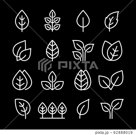 set icons of leaves, branches and trees 62888019