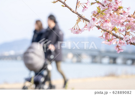 桜と散歩する新しい家族 桜と散歩する新しい家族 62889082