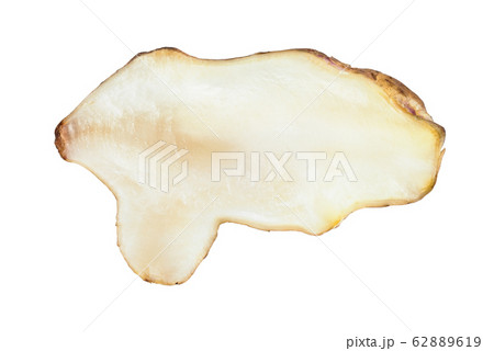 cross-section of raw tuber of jerusalem artichoke cross-section of raw tuber of jerusalem artichoke 62889619