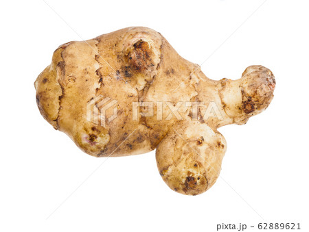 ripe tuber of jerusalem artichoke isolated ripe tuber of jerusalem artichoke isolated 62889621