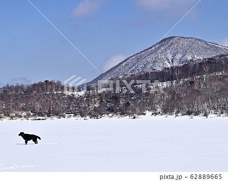 冬山の小沼と犬 62889665