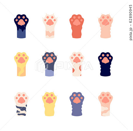 Cat foots. Animal paws close up. Flat wild kitty footprints with claws. Cute cartoon pet legs icons. Wild leopard or tiger foot vector set 62890945