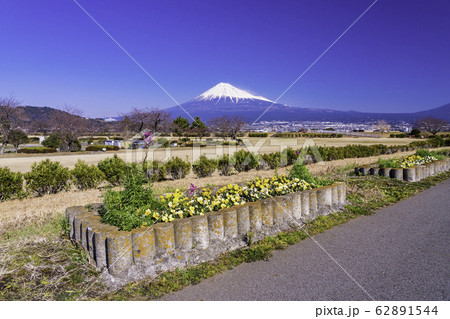 （静岡県）富士市　雁公園から望む富士山 62891544