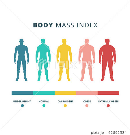 Body mass index colorful vector flat illustration isolated on white background Body mass index colorful vector flat illustration isolated on white background 62892524