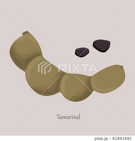 Tamarind sweet tropical fruit and brown grains. Tamarind sweet tropical fruit and brown grains. 62892892