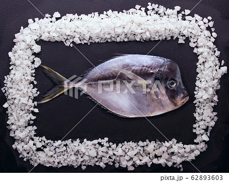 Fresh fish (Vomer or Selene setapinnis ) in the Fresh fish (Vomer or Selene setapinnis ) in the 62893603