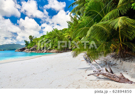 Beautiful Anse Soleil beach at Seychelles Beautiful Anse Soleil beach at Seychelles 62894850