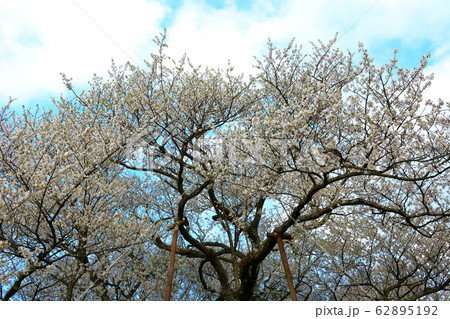 風景 観光 風 62895192
