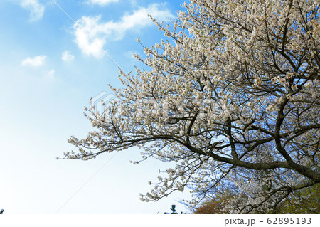 風景 観光 風 62895193
