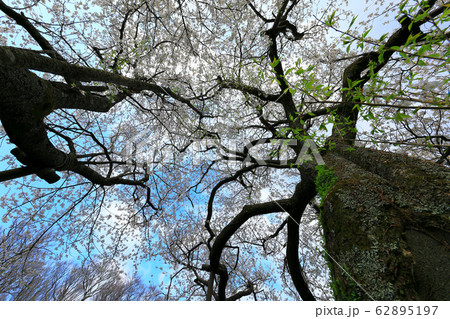 風景 観光 風 62895197