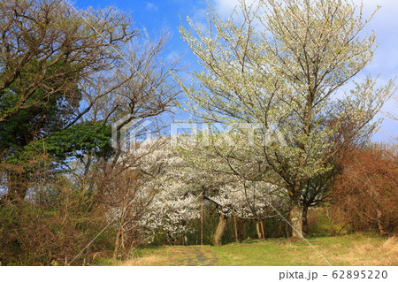 風景 観光 風 62895220