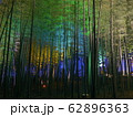 竹林のライトアップ 竹林のライトアップ 62896363