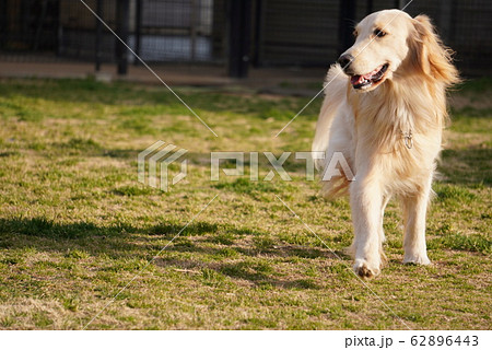 休日の時間 62896443