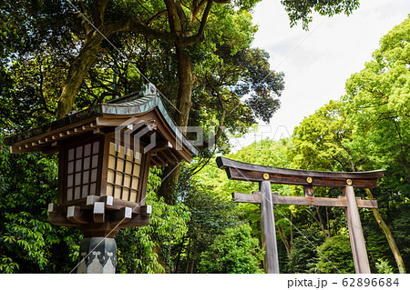 lamp and Torii Gate of Meiji Jingu shrine, Tokyo lamp and Torii Gate of Meiji Jingu shrine, Tokyo 62896684