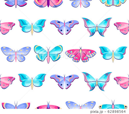 pattern with butterflies and mothsのイラスト素材 [62898564] - PIXTA