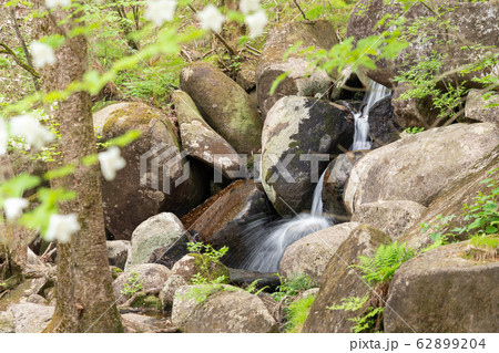 栃木県鹿沼市　横根高原　五段の滝　（5月） 62899204