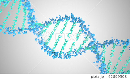 DNA molecule helix, 3D rendering 62899508