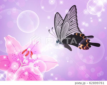 ユリとクロアゲハの背景イラスト_ソルボンヌ 62899761