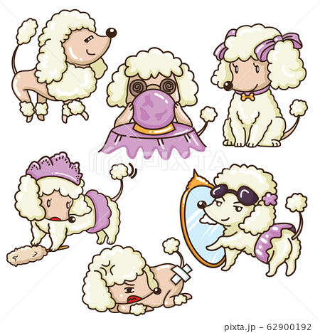 Set Cute Poodle Dog Cartoon Animal Ans Petのイラスト素材