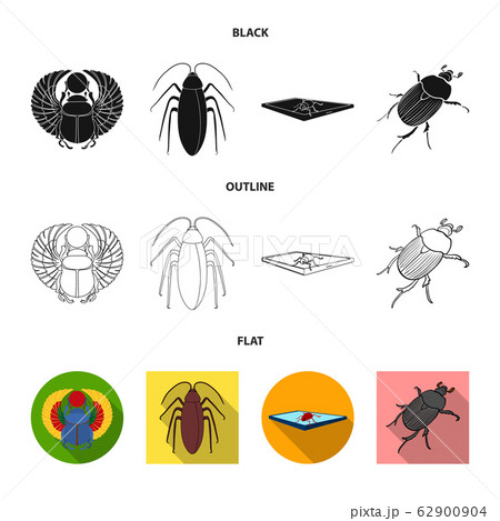 Vector illustration of insect and beetle sign. Collection of insect and halloween stock symbol for web. 62900904