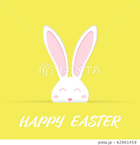 Vector illustration of Easter bunny ears card Vector illustration of Easter bunny ears card 62901459