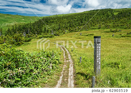 夏の平ヶ岳稜線の木道 62903519