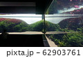 水族館 62903761
