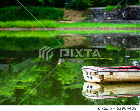 春の京都　広沢池　朝景 62904408