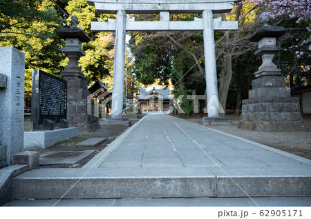 東村山八坂神社 東村山八坂神社 62905171