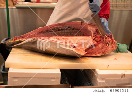 マグロ解体 62905511