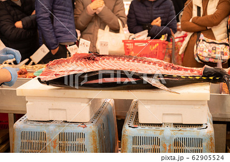 マグロ解体 62905524