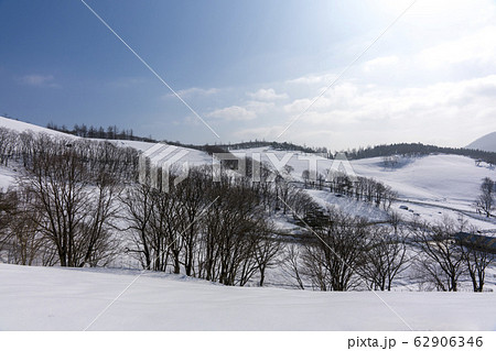 雪景色 風景 木 62906346
