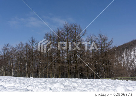 季節 大関嶺 雪景色 62906373