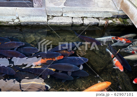 城下町　津和野 62907101